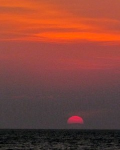 Magenta on the Horizon; photo by GAC