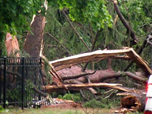 After the Storm; photo by GAC.