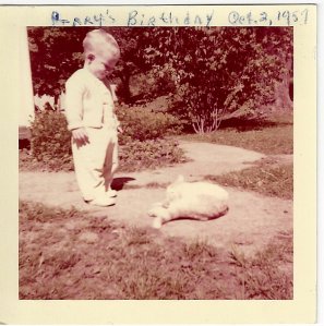Me and Grandma's Old, Orange Cat a few years before the end