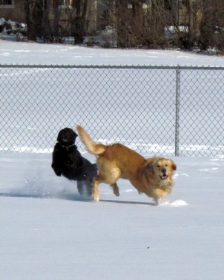 The Goodness and Mercy of God in Pursuit