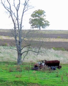 In a field in Washington County, Pennsylvania; photo by GAC