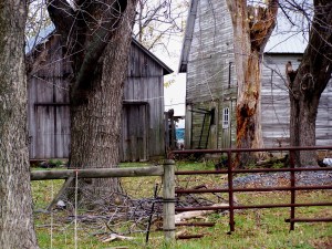 Ruins in central New York; photo by GAC